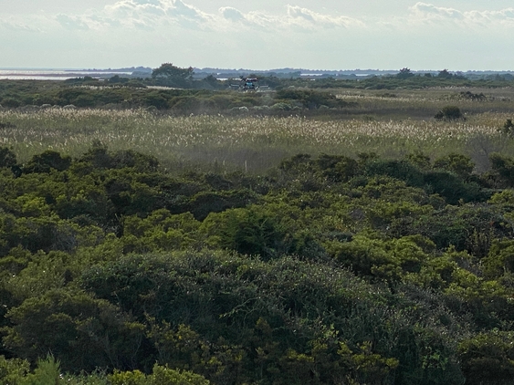 IMG_1080-563x423-731a7a1